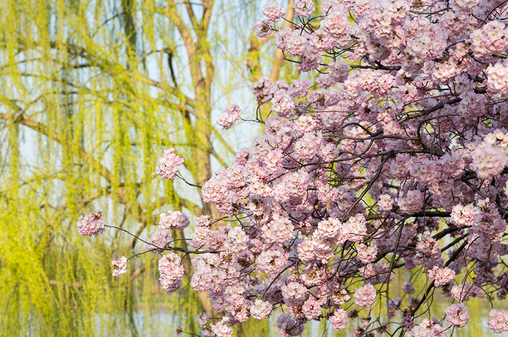 Step 2: Distinguishing Knowledge