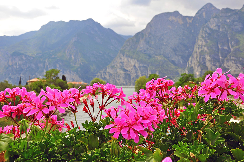 Advancement in the Path to Verity